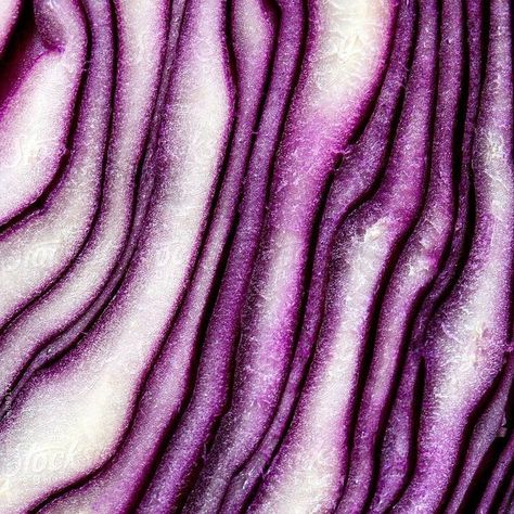 Macro Food Photography, Pics For Fb, Pattern Photography, Organic Structure, Art Apps, Zoom Photo, Illustration Fashion Design, Red Cabbage, Mushroom Art