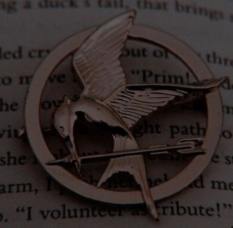 Pfp Hunger Games, Hunger Games Profile Pictures, Katniss Everdeen Pfp, Hunger Games Pfp, Hunger Games Icons, Slideshow Night, Hunger Games Wallpaper, Games Aesthetic, Hunger Games Books