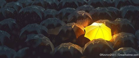 Umbrella Wallpaper, Dark Rain, Rain Lights, Yellow Umbrella, Umbrellas Parasols, Photography Websites, Image Bank, Yellow Wallpaper, Decorating With Pictures