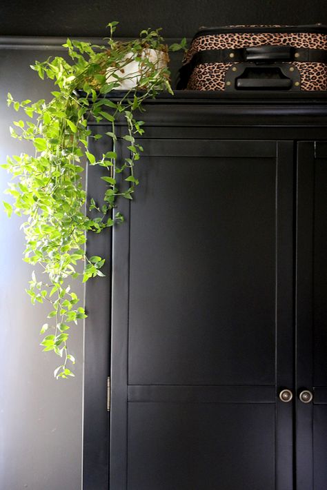 black wardrobe with hanging plant and leopard print luggage - see more on www.swoonworthy.co.uk Plants On Top Of Wardrobe, Plant On Top Of Cabinet, Plants On Wardrobe, Top Of Wardrobe Decor Ideas, Decluttering Strategies, Styling Plants, Top Of Cabinets, Hanging Plants Diy, Plant Inspiration