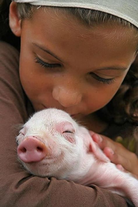 Happy Pig, Baby Pigs, Cute Pigs, Little Pigs, The Farm, Animals Friends, Pigs, Beautiful Creatures