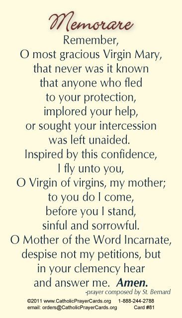 Memorare Prayer, The Memorare, Jeanne Marie, St Clare, Mission Work, Everyday Prayers, Miracle Prayer, Special Prayers, Holy Rosary