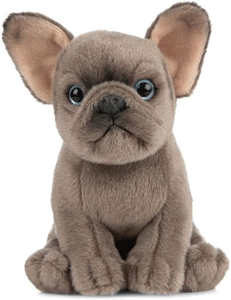 Living Nature AN437 Pets French Bulldog Puppy Plush Toy, 16cm: Amazon.co.uk: Toys & Games Dog Lover Aesthetic, Food Plushies, Animal Plushies, Puppy Plush, Lover Aesthetic, Boxer Puppy, Dog Stuffed Animal, Cute French Bulldog, Soft Toy Animals