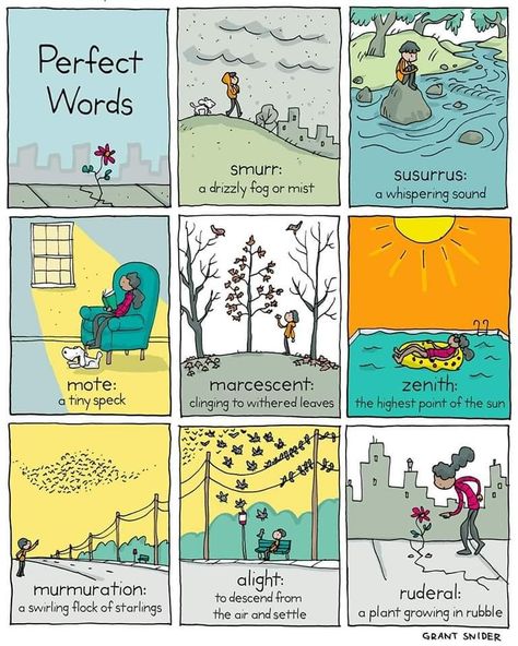 Perfect Words by Grant Snider ♥️ Grant Snider, Unitarian Universalist, Unique Words Definitions, Word Definitions, Perfect Word, Writing Project, Great Words, Love Words, New Words