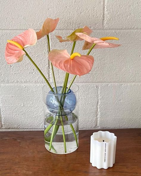 Fazeek on Instagram: “At home at our creative directors house today.. don’t know about you....but we think this is all a match made in heaven.” Fazeek Home, A Match Made In Heaven, Match Made In Heaven, Made In Heaven, Match Making, Don T Know, Creative Director, Glass Vase, At Home