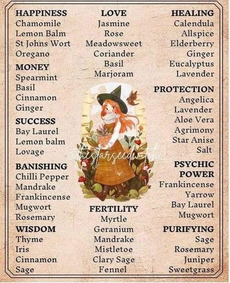 Herbs For Protection, Apothecary Ideas, Kitchen Magick, Hearth Witch, Wiccan Illustration, Folk Remedies, Witch Recipes, Kitchen Witch Recipes, Beginner Witch