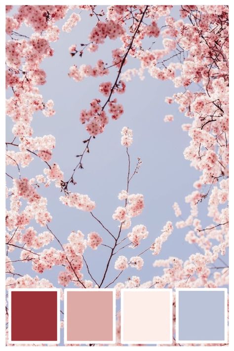 #spring is here and brings the beautiful blossoms along..... Do you like this color palette . Want to get your own customized color palette . Reach out to us now!!!! #fiverr #fiverrgigs #canvas #aestheticedits #spring #seasonsofblossom #aestheticsidea Spring Brand Color Palette, Blossom Color Palette, Balletcore Color Palette, Sakura Color Palette, Spring Colors Palette, Colour Palette Spring, Spring Pallete, Cherry Blossom Color Palette, Spring Pallete Color