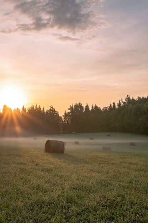 Country Field Aesthetic, Country Life Wallpaper, Simple Country Living Aesthetic, Farm Astethic, Southern Aesthetic Country, Old Country Aesthetic, Country Living Aesthetic, Midwestern Aesthetic, Vintage Country Aesthetic