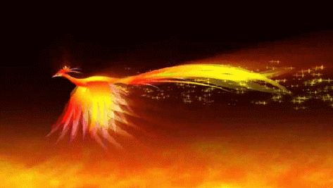 Phoenix Gif, Cinemagraph Inspiration, Vfx Tutorial, Motion Wallpapers, Youtube Banner Backgrounds, Graphic Animation, Snow Fall, Bird Gif, Fire Bird