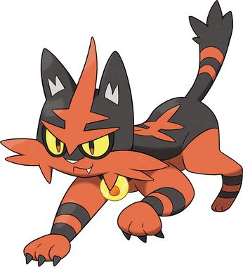 Torracat artwork by Ken Sugimori Cat Pokemon, Fire Type Pokémon, Fire Pokemon, 151 Pokemon, Pokemon Sketch, Pokemon Moon, Mega Pokemon, Pokemon Team, Pokemon Sun And Moon