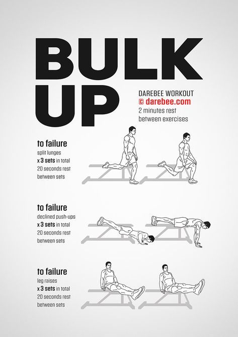 Bulk Up Workout Bulk Workout, Assassins Workout, Dumbbell Bicep Workout, Bed Exercises, Workout Template, Military Workout, Warrior Workout, Leg Workout At Home, Beard Straightening