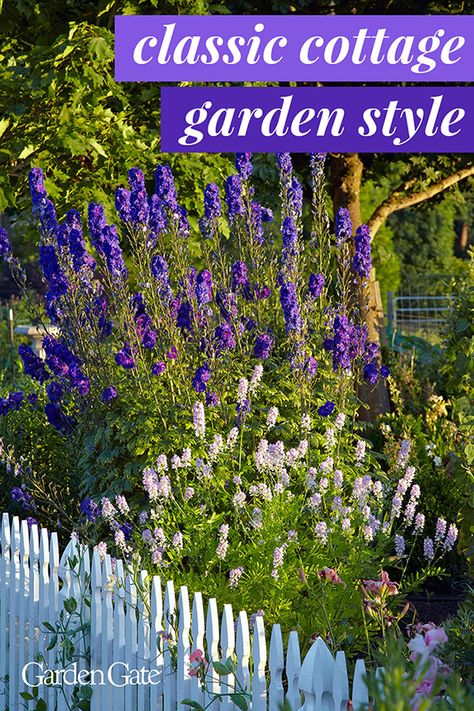 Cottage Garden Plan, Cottage Garden Style, Cottage Garden Borders, Bee Friendly Garden, 6 Elements, Magazine Ideas, Cottage Garden Design, Cottage Garden Plants, Fragrant Plant