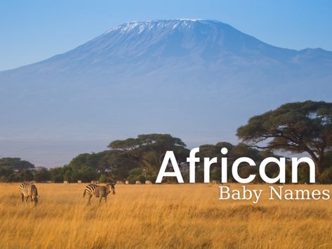 The selection of your baby's name is a decision that requires plenty of thought. You may be looking for a meaningful name, or one that honors your family heritage. Or perhaps you simply want something unique and exotic. Here are 25 African baby names that are thought-provoking and impactful. Take a look! African Girl Names, African Boy Names, C Baby Boy Names, S Baby Boy Names, Names Starting With C, Western Names, Boy Name Meanings, Middle Names For Girls