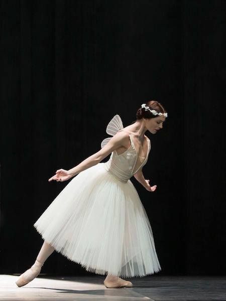 Amy Watson  as the Sylph in Nikolaj Hübbe’s production of La Sylphide   Photo: © Costin Radu Ballet Giselle, La Sylphide, Ballet Recital, Ballet Pictures, Rudolf Nureyev, Ballet Academy, Ballet Beauty, Dance Dreams, Ballet Poses