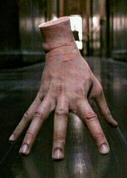 Hand From Addams Family, Wensday Thing Hand, Hand Addams Family, Thing Wednesday Addams, Thing Wednesday Addams Hand, Thing From Addams Family, Thing From Wednesday Hand, Thing Hand Addams Family, Thing Wednesday Hand