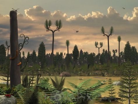 Carboniferous landscape Prehistoric Insects, Carboniferous Period, Melbourne Museum, History Of Earth, Living Fossil, Living History Museum, Science Illustration, Prehistoric World, Prehistoric Art