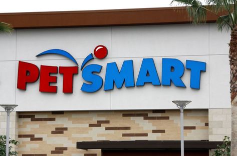 petsmart Pet Smart Store, Can Dogs Eat Strawberries, Dog Died, 2 Dogs, Dog Training Collar, Can Dogs Eat, Dog Houses, New York Post, Pet Store