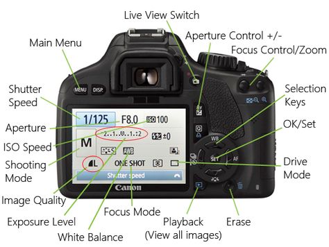 Photography SOS - Getting to know your camera controls | Annie's Noms Beginner Photography Camera, Camera Hand Strap, Manual Photography, Digital Photography Lessons, Dslr Photography Tips, Photography Settings, Photography Cheat Sheets, Film Photography Tips, Fotografi Digital