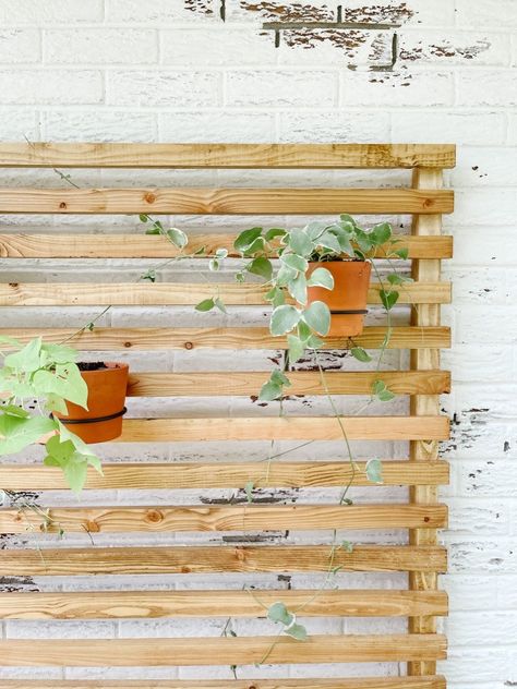 DIY Simple Slatted Wood Trellis - Sprucing Up Mamahood Dyi Patio, Backyard Privacy Screen, Backyard Covered Patios, Wall Trellis, Wood Trellis, Lattice Trellis, Slate Wall, Diy Trellis, Wood Slat Wall