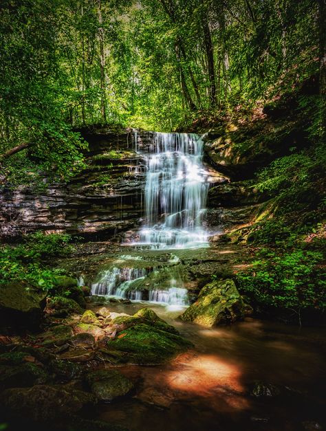 New River Gorge in West Virginia is the top national park in the US given the abundance of opportunities for relaxing and adventurous activities. Adventurous Activities, National Parks America, New River Gorge, Arch Bridge, Whitewater Rafting, Appalachian Mountains, New River, Tall Trees, Adventure Sports