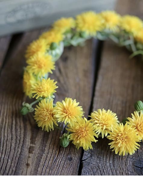 Dandelion Crown, Dandelion Wedding, Yellow Flower Crown, Yellow Things, Crown Aesthetic, Wild Party, Dandelion Yellow, Favourite Flowers, Dandelion Flower