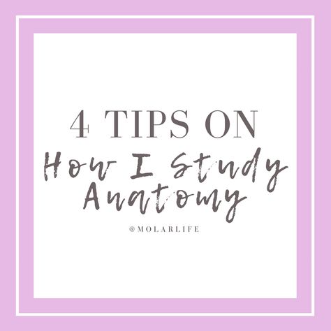 How To Study Anatomy, Studying Anatomy, Study Anatomy, How To Study, Medical School Studying, Dental School, Online Quiz, Anatomy Study, Struggle Is Real