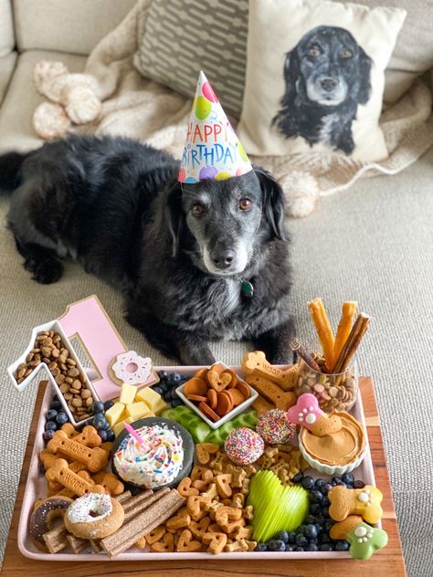 Dog Tea Party, Barkuterie Board For Dogs, Pet Party Ideas For Dogs, Dog Treat Packaging Ideas, Dog Charcuterie Board, Dog Birthday Party Pets, Dog First Birthday, Dog Themed Birthday Party, Puppy Birthday Parties