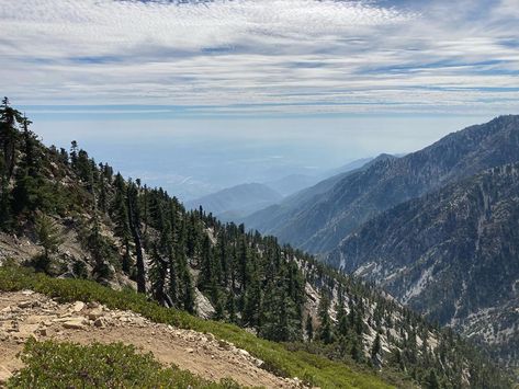 San Bernardino National Forest, Bureau Of Land Management, National Park California, San Jacinto, California National Parks, Take Note, San Bernardino, Us National Parks, The Wilderness