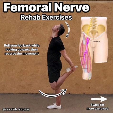 Dr. Caleb Burgess DPT OCS CSCS on Instagram: "⁉️ Nerve Pain at the front of the thigh? ⚡ It may be due to irritation of the femoral nerve, which originates from the lumbar spine (low back) and is formed by nerve roots L2-L4 🎯 The femoral nerve supplies sensory input to the front of the thigh and motor input to the hip flexors and quadriceps 🚨 If you experience pain, numbness or tingling in this region, performing femoral nerve mobilization exercises, like the ones shown here, may help! 1️⃣ Standing Femoral Nerve Glide 2️⃣ Standing Femoral Nerve Tensioner 3️⃣ Prone Femoral Nerve Glide with Strap 4️⃣ Prone Femoral Nerve Tensioner with Strap ✅ If you are experiencing constant and/or significant pain in this region, I would stick to exercises 1️⃣ or 3️⃣ (gliders), as these put less ove Mobilization Exercises, Nerve Exercises, Femoral Nerve, Bursitis Hip, Pregnancy Workouts, Sensory Input, Lumbar Spine, Lower Back Pain Exercises, Ballet Exercises