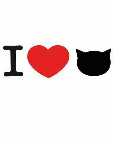 I LOVE THE CAT'S / AMO LOS GATOS Cat Quotes, Cat Person, Cats Meow, All About Cats, Crazy Cat Lady, Cat Life, Potpourri, Crazy Cats, Big Cats