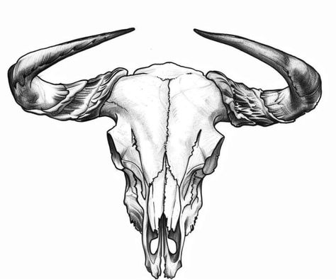 Buck Skull Tattoo, Bull Skull Drawing, Boar Skull, Buck Skull, Bull Skull Tattoos, Backpiece Tattoo, Funky Tattoos, Rock N Roll Art, Bull Skull