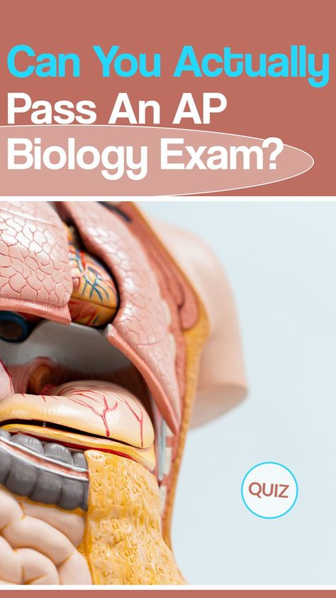 The questions in this biology quiz are taken from the AP Biology Exam. Only 1.5% of takers get a perfect score. Can you beat these odds? You'll get instant results either way! Biology Exam, Basic Biology, Biology Test, School Biology, Perfect Score, Ap Exams, Biology Classroom, High School Biology, Ap Biology