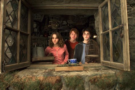 Harry Potter Harry Potter and the Prisoner of Azkaban Hermione Granger Ron Weasley #1080P #wallpaper #hdwallpaper #desktop Harry Potter Pc, Ron And Harry, Daniel Radcliffe Harry Potter, Harry Potter Ron Weasley, Harry Potter Ron, Harry Potter Spells, The Prisoner, Slytherin Harry Potter, The Prisoner Of Azkaban