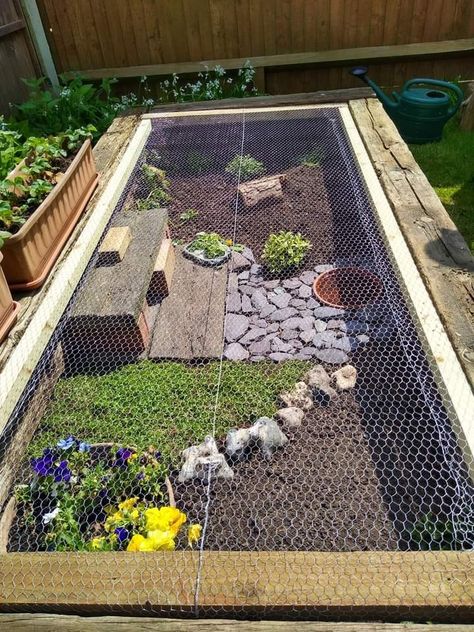 Outdoor Turtle Pond Enclosure, Garden Turtles Diy, Red Footed Tortoise Habitat Outdoor, Outside Turtle Enclosure, Tortoise House Outdoor Diy, Diy Outdoor Tortoise Enclosure, Tortoise Garden Enclosure, Diy Indoor Tortoise Enclosure, Outside Tortoise Habitat Ideas