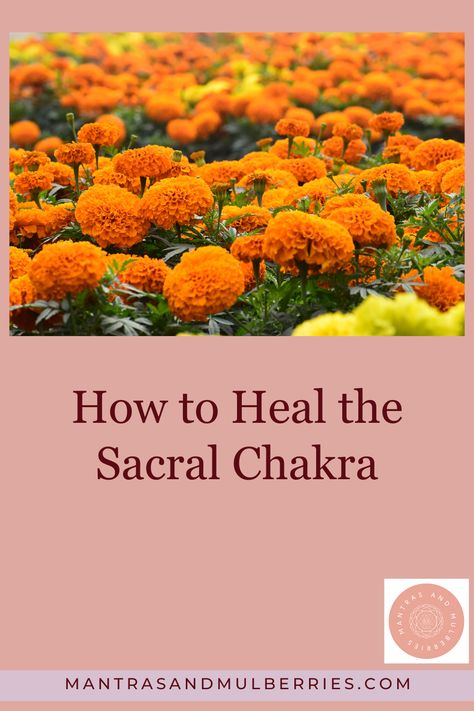 The Sacral Chakra govern our sense of creativity, pleasure, and more! There are so many incredible ways to help balance the second chakra! Check out the post to learn about how to heal the sacral chakra. Sacral Chakra Affirmation, Chakra Meanings, Nutritional Therapy Practitioner, Sacral Chakra Healing, Chakra Mantra, Second Chakra, The Sacral Chakra, Chakra Activation, Chakra Affirmations