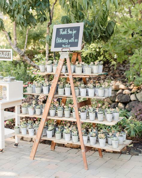 28 Unique Ways to Display Your Wedding Favors #WeddingFavors #WeddingFavorIdeas #WeddingInspiration #WeddingReception | Martha Stewart Weddings - 28 Unique Ways to Display Your Wedding Favors Favor Display, Vintage Wedding Favors, Succulent Wedding Favors, Creative Wedding Favors, Succulent Favors, Inexpensive Wedding Favors, Wedding Favors And Gifts, Homemade Wedding, Elegant Wedding Favors