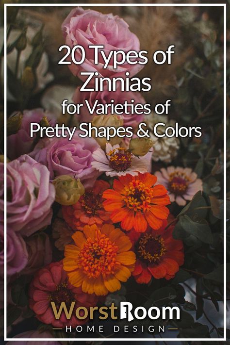 Types of Zinnias Zinnia Flowers, Types Of Flowers, Green Thumb, Fall In Love, Flower Garden, To Grow, Garden Design, Seeds, In Love