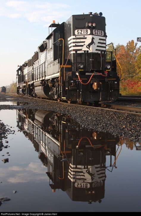 Southern Rail, Railroad Images, Railroad Art, Abandoned Train, Scenic Railroads, Railroad Pictures, Southern Railways, Norfolk Southern, Pennsylvania Railroad