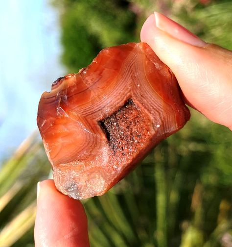 carnelian rough red, raw crystal carnelian, red carnelian, rough carnelian, raw crystals carnelian, red carnelian, orange carnelian by elf Crystals Carnelian, Crystal Carnelian, Orange Carnelian, Red Carnelian, Salt Lamps, Carnelian Crystal, Pyrite Crystal, Raw Crystals, Quartz Crystal Pendant