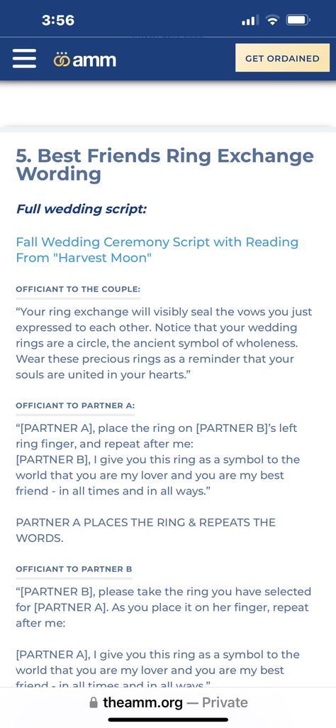 Friend Officiating Wedding Script, Ring Exchange Wording, Fall Wedding Ceremony, Best Friend Rings, Wedding Ceremony Script, Handfasting Cords, Wedding Script, Friend Rings, Ring Exchange