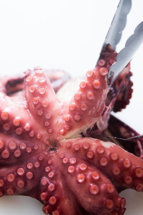 Boiled Octopus Recipes, Octopus Recipes Easy, Cooking Octopus, How To Cook Octopus, Octopus Recipe, Octopus Recipes, Happiness Tips, Delicious Seafood Recipes, Soup Broth