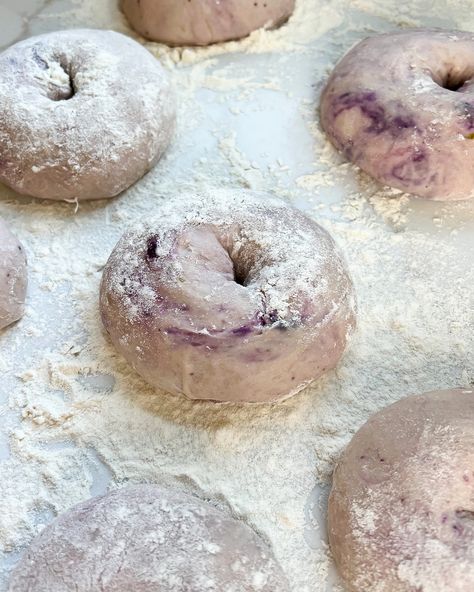 New York-Style Blueberry Sourdough Bagels Sourdough Discard Blueberry Bagels, Blueberry Sourdough Bagels, Sourdough Blueberry Bagels, Sourdough Bagels Recipe, Blueberry Sourdough, Sourdough Bagel, Blueberry Bagels, Sourdough Blueberry, Pumpkin Pie Pancakes