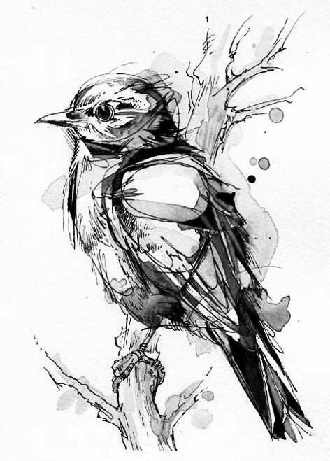 Watercolour Robin Tattoo Robin Tattoo Black And White, Robin Tattoo Design, Jigsaw Tattoo, Bird Flash, Watercolour Robin, Robin Bird Tattoos, Fox Glove, Robin Tattoo, Men Flower Tattoo