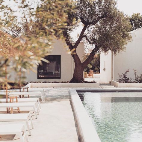 CONTEMPO STUDIO on Instagram: “Summers in Puglia @villapuglia via @theperfecthideaway” Mediterranean Pool, Italian Farmhouse, Archi Design, Italian House, Renovation Design, Countryside House, Outside Living, Pool Designs, Puglia