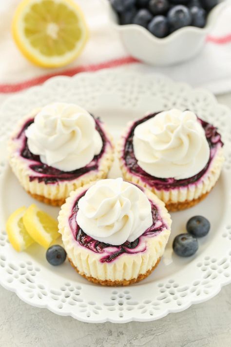 Three mini lemon blueberry cheesecake bites topped with whipped cream on a white plate. Lemon Cheesecake Filling, Cheesecake Blueberry, Homemade Graham Cracker, Mini Lemon Cheesecakes, Biscotti Cheesecake, Homemade Whipped Cream Recipe, Lemon And Blueberry, Lemon Blueberry Cheesecake, Homemade Graham Cracker Crust