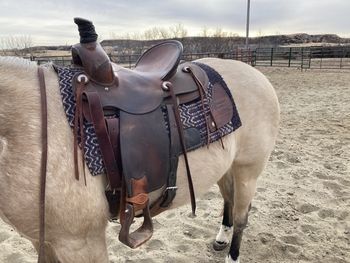 Western Trail Saddle, Used Saddles For Sale, Western Saddles For Sale, Ranch Saddle, Saddle Western, Saddles For Sale, Western Trail, Trail Saddle, Roping Saddles