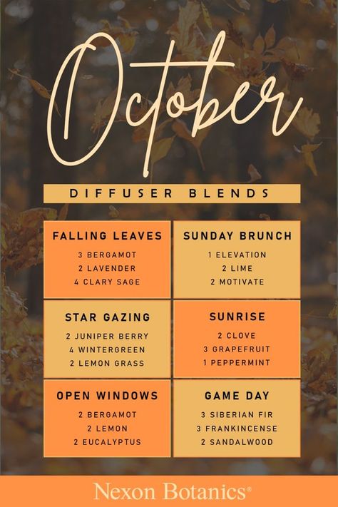 Autumn essential oils and DIY essential oil recipes provide cozy fall fragrances to your home. These diffuser blends are easy to make and quick to diffuse in the atmosphere. Check out our essential oil diffuser blend recipes perfect to set the mood in your home this October and fall season. Now sit back and relax to our amazing blends that will set the mood for fall. Use these fall blends in a diffuser, roller bottles, topically, or in a warm bath for a cozy feel at home. Click to learn more! Fall Essential Oil Diffuser Blends, Fall Essential Oil Blends, Fall Essential Oils, Nutmeg Essential Oil, Essential Oil Combinations, Diy Essential Oil Recipes, Doterra Essential Oils Recipes, Essential Oil Diffuser Blends Recipes, Young Living Essential Oils Recipes