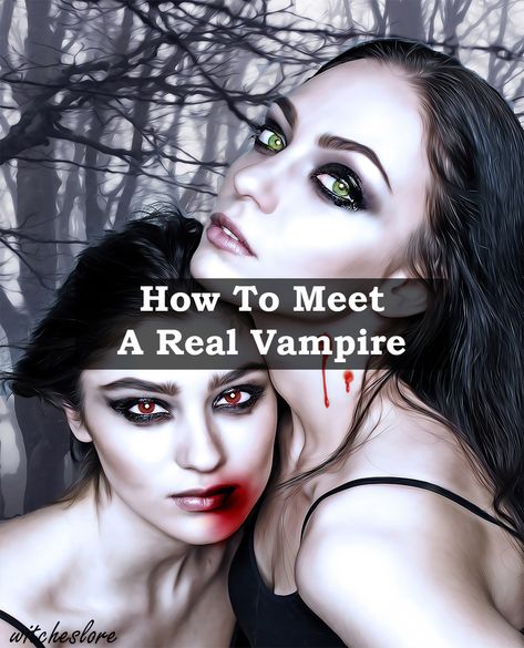 If you decide to seek out a vampire, be aware, once you’re on a vampire’s radar there is no turning back. Your life will never be the same, and you will never be the same again. Vampire Real Life, Are Vampires Real, How To Be A Vampire In Real Life, How To Become A Vampire In Real Life, How To Become A Vampire, How To Be A Vampire, Vampire Magic, Real Life Vampires, Vampire Face