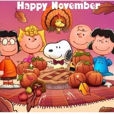 Brown Characters, Thanksgiving Snoopy, Peanuts Thanksgiving, Charlie Brown Characters, Charlie Brown Thanksgiving, Snoopy Dog, Peanuts Charlie Brown Snoopy, Happy November, Hello November