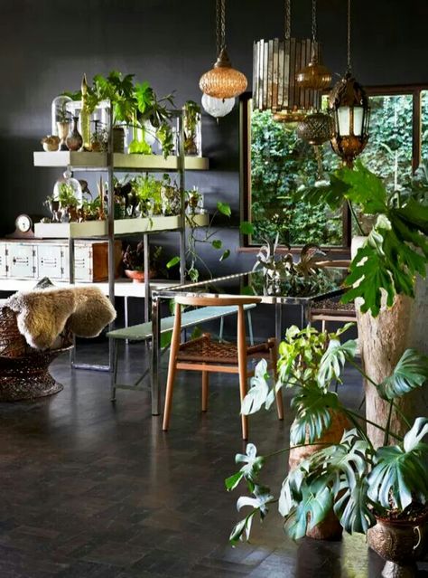 Love the plants Dark Dining Room, Garden Room Ideas, Jungle Room, Indoor Gardens, Indoor Dining, Plant Ideas, California Coastal, Room With Plants, Contemporary House Design